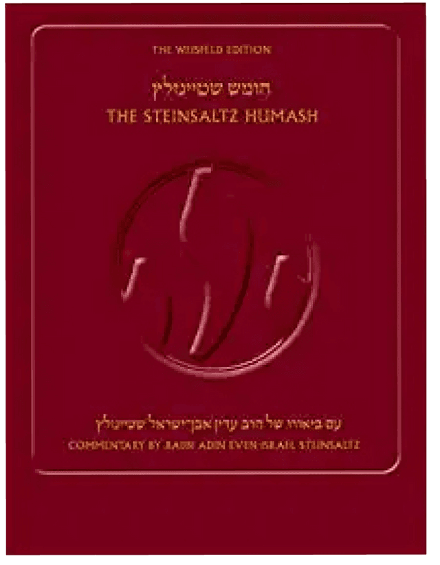 Talmud Bavli Page