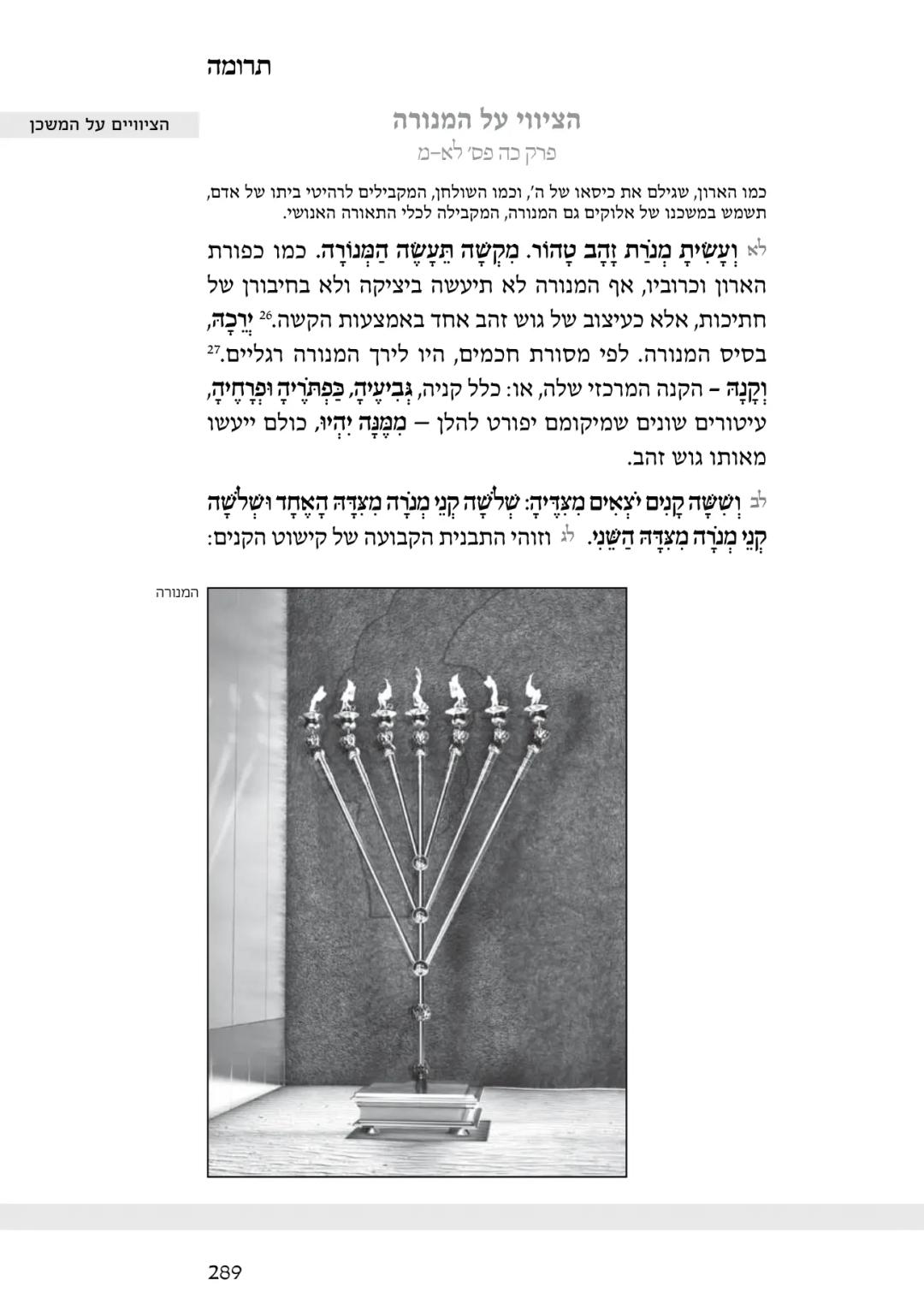 Talmud Bavli Page